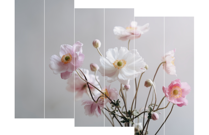 Witte en roze bloemen