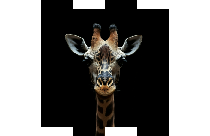 Giraf close-up