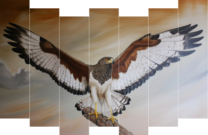 De roofvogel