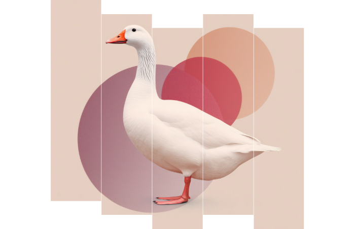Witte gans