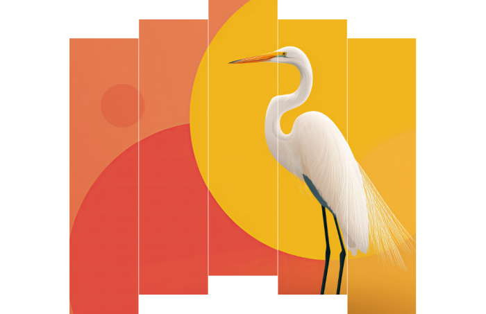 De witte reiger