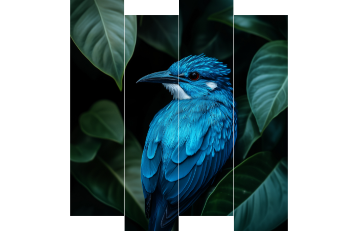 De blauwe ijsvogel